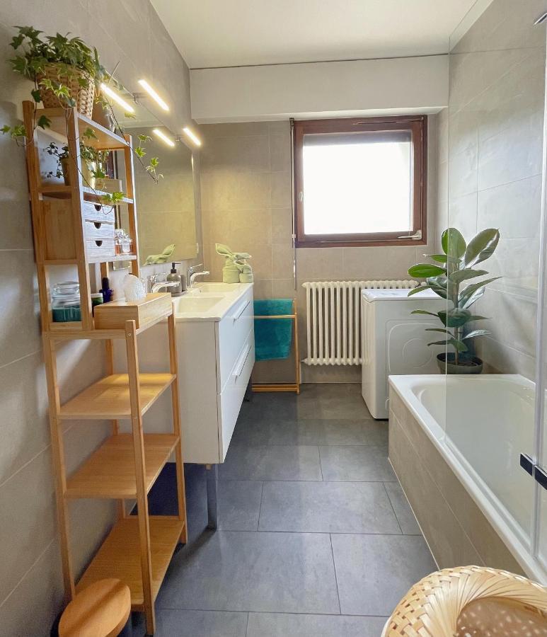 פרני וולטר Appartement Tres Cosy A 5 Min Aeroport Geneve מראה חיצוני תמונה