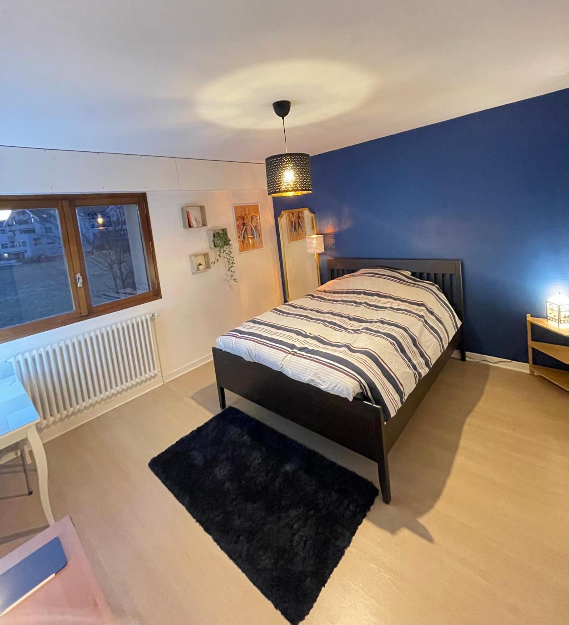 פרני וולטר Appartement Tres Cosy A 5 Min Aeroport Geneve מראה חיצוני תמונה